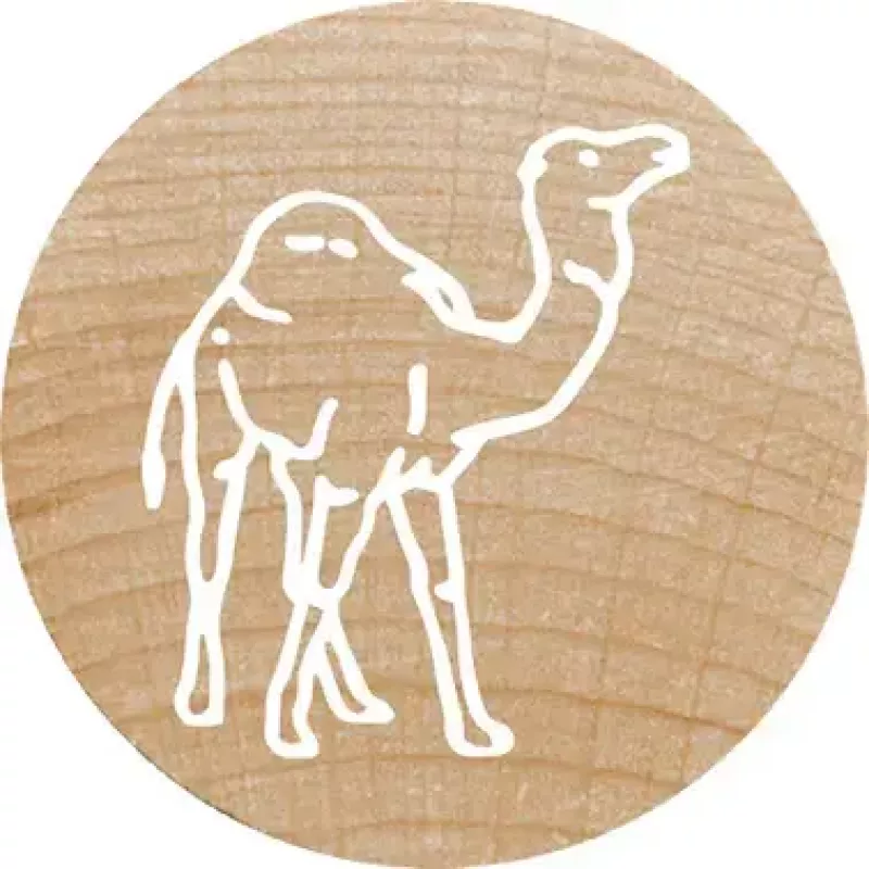Colop Tempel Colop 165224 Ümmargune Kumm Puit 3 cm