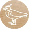 Colop Tempel Colop 165224 Ümmargune Kumm Puit 3 cm