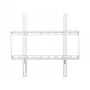 Techly ICA-PLB-162MW TV-kinnitus/statiiv 139,7 cm (55 tolli) Valge