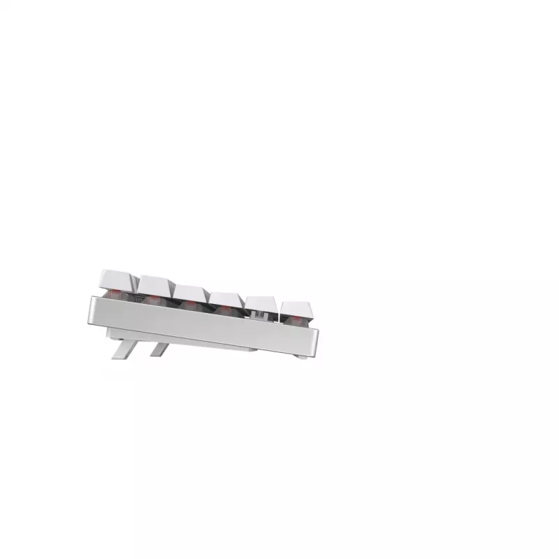 CHERRY MX 8.2 TKL Wireless RGB klaviatuur Mängimine RF-juhtmevaba + Bluetooth QWERTZ Saksa Valge
