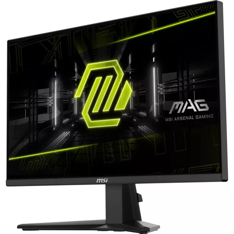 MSI MAG 255XF arvutimonitor 62,2 cm (24,5 tolli) 1920 x 1080 pikslit Full HD must