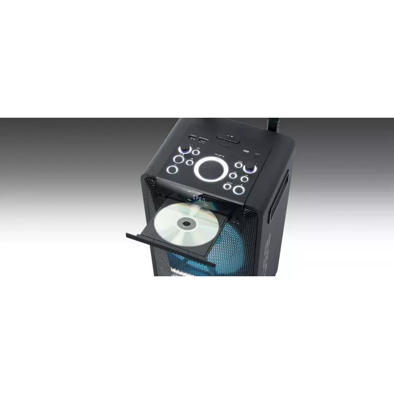 Kaasaskantav kõlar Muse M-1920 DJ — 300 W RMS, vahelduvvoolutoide, 3,5 mm sisend, 256×287×534 mm, 7 kg, must