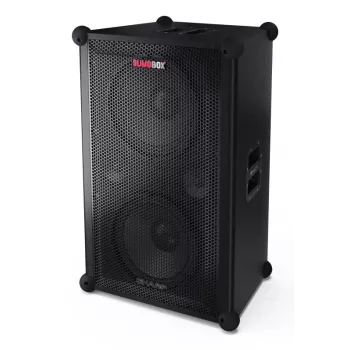 Sharp CP-LS200 kaasaskantav/peokõlar Must 200 W