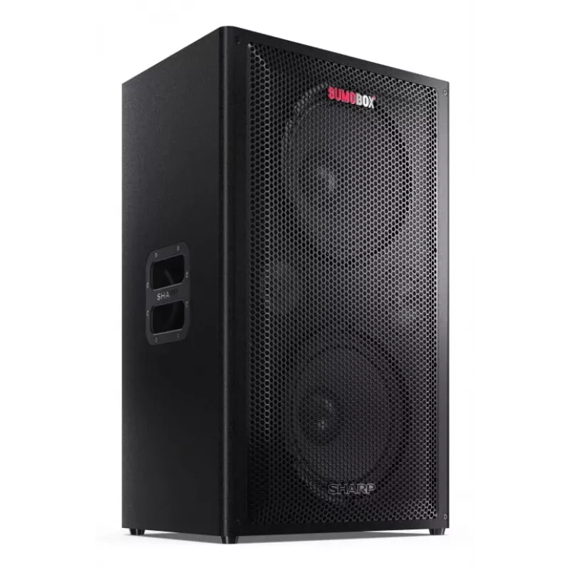Sharp CP-LS200 kaasaskantav/peokõlar Must 200 W