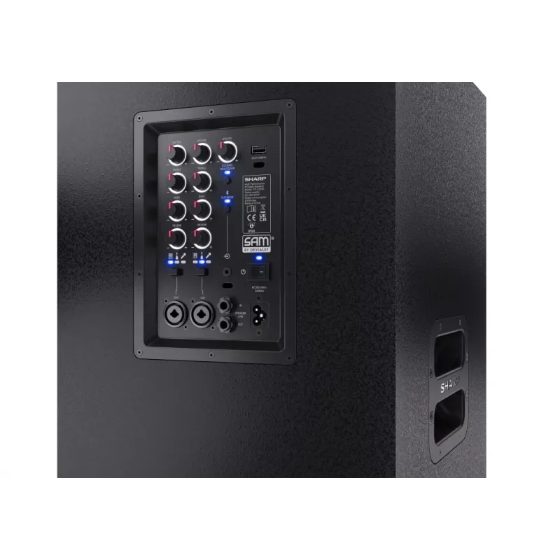 Sharp CP-LS200 kaasaskantav/peokõlar Must 200 W