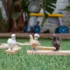 Mängufiguurid Schleich FARM WORLD Kanasõbrad Mitmevärviline 42574