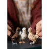 Mängufiguurid Schleich FARM WORLD Kanasõbrad Mitmevärviline 42574