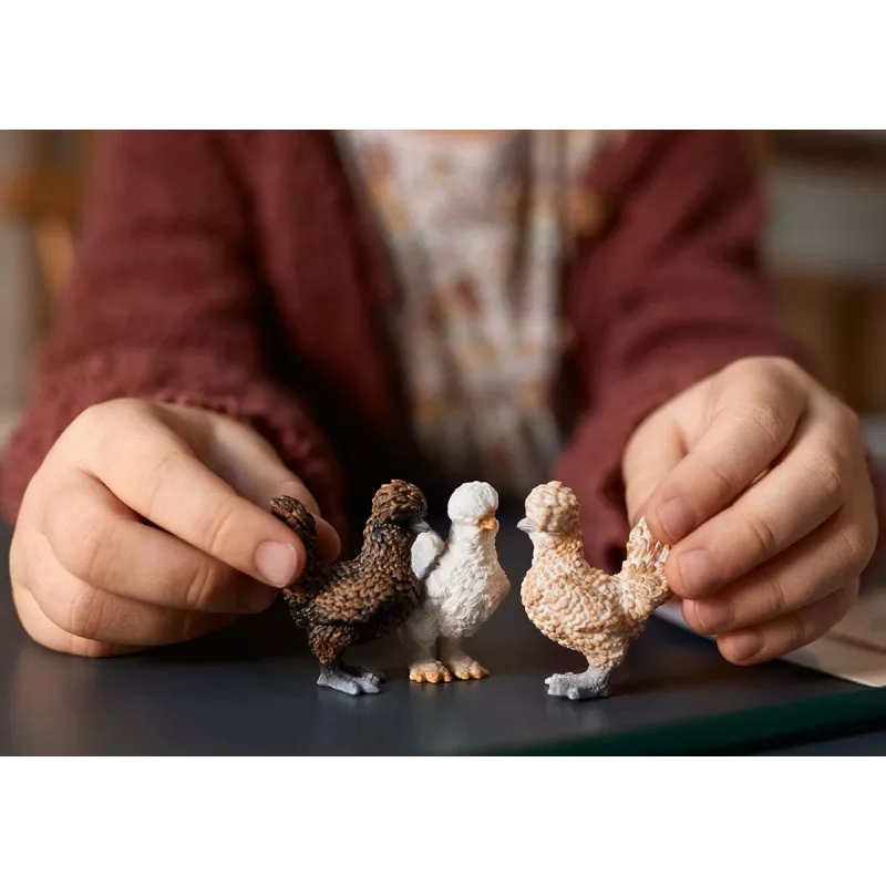 Mängufiguurid Schleich FARM WORLD Kanasõbrad Mitmevärviline 42574