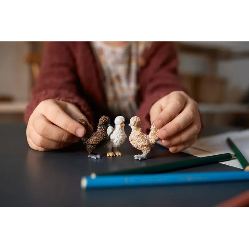 Mängufiguurid Schleich FARM WORLD Kanasõbrad Mitmevärviline 42574