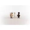 Mängufiguurid Schleich FARM WORLD Kanasõbrad Mitmevärviline 42574