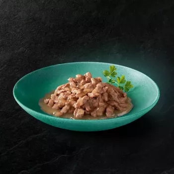 Märg kassitoit Sheba Kitten Selection of Flavors in Sauce 40×85 g — märgtoit noortele kassipoegadele, 40 kotikest x 85 g, 3,4 kg, põhimaitsena kana