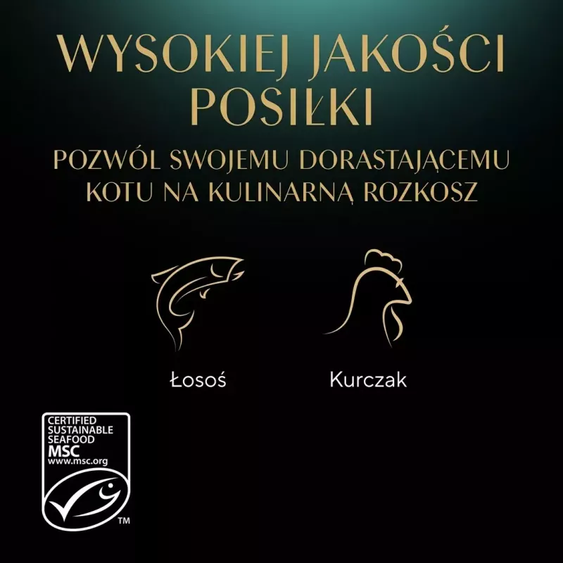 Märg kassitoit Sheba Kitten Selection of Flavors in Sauce 40×85 g — märgtoit noortele kassipoegadele, 40 kotikest x 85 g, 3,4 kg, põhimaitsena kana