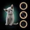 Märg kassitoit Sheba Kitten Selection of Flavors in Sauce 40×85 g — märgtoit noortele kassipoegadele, 40 kotikest x 85 g, 3,4 kg, põhimaitsena kana