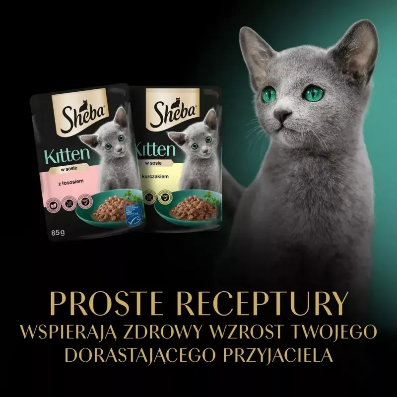 Märg kassitoit Sheba Kitten Selection of Flavors in Sauce 40×85 g — märgtoit noortele kassipoegadele, 40 kotikest x 85 g, 3,4 kg, põhimaitsena kana