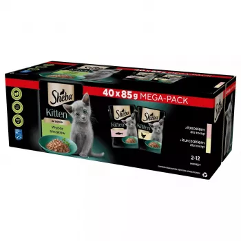 Märg kassitoit Sheba Kitten Selection of Flavors in Sauce 40×85 g — märgtoit noortele kassipoegadele, 40 kotikest x 85 g, 3,4 kg, põhimaitsena kana