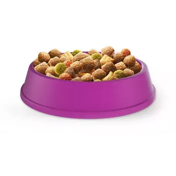 Kuiv kassitoit Whiskas Adult Chicken 14 kg — valk 30%, rasv 12%, kiud 2%