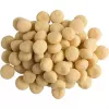 Purina VETERINARY DIETS Adult 11 kg hiigelsuurt tõugu koertele