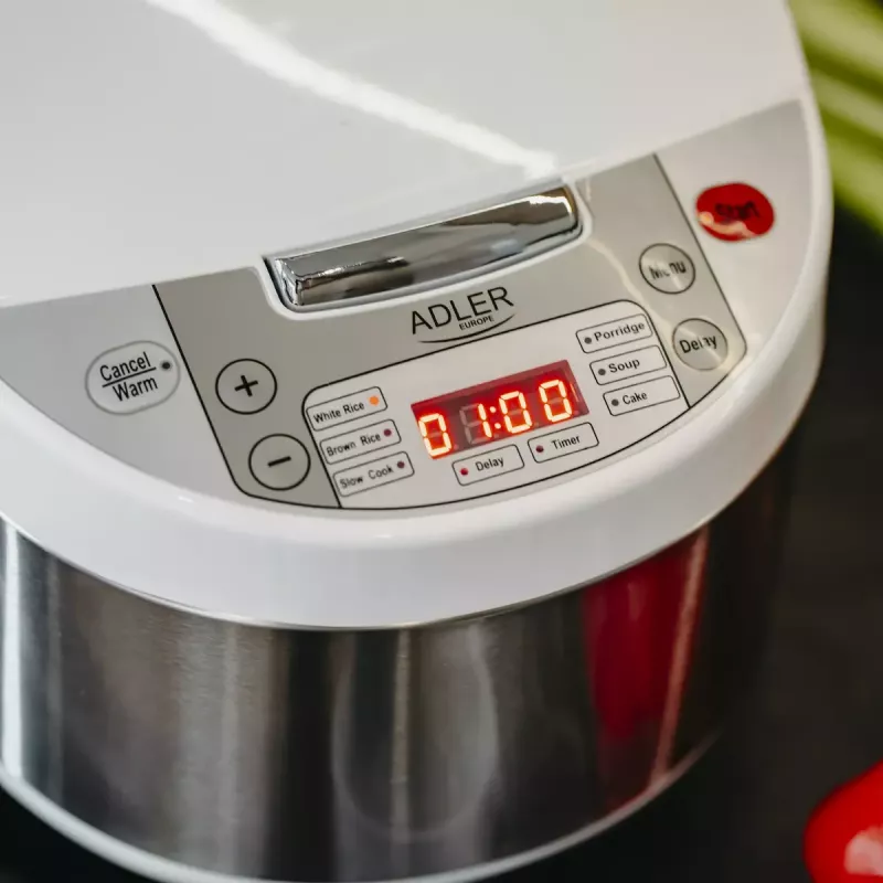 Multikeetja Adler AD 6420 — 700 W, 3,25 L mahutavus, 6 programmeeritavat programmi, LED-ekraan