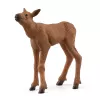 Figuurikomplekt Schleich WILD LIFE Põdrapere — realistlikud loomafiguurid, 3+ aastat, mitmevärviline