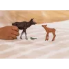 Figuurikomplekt Schleich WILD LIFE Põdrapere — realistlikud loomafiguurid, 3+ aastat, mitmevärviline