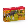 Figuurikomplekt Schleich WILD LIFE Põdrapere — realistlikud loomafiguurid, 3+ aastat, mitmevärviline