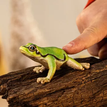 schleich WILD LIFE Euroopa puukonn, 3 a, Mets, Metssloomad / seiklusmänguasjad, Mitmevärviline
