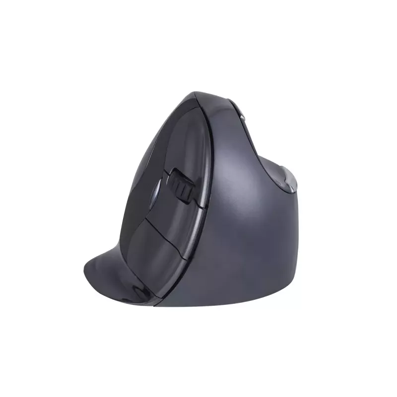 Hiir BakkerElkhuizen Evoluent D RF Wireless