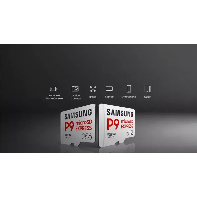 microSDXC mälukaart Samsung P9 Express 256 GB — UHS-I, lugemine 800 MB/s, V30, U1, vastupidav