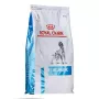 Kuiv koeratoit Royal Canin Anallergenic 8 kg — täiskasvanutele mõeldud hüpoallergeenne linnulihavalem, gluteeni- ja laktoosivaba