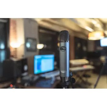 Stuudiomikrofon Blue Microphones Ember