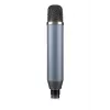 Stuudiomikrofon Blue Microphones Ember