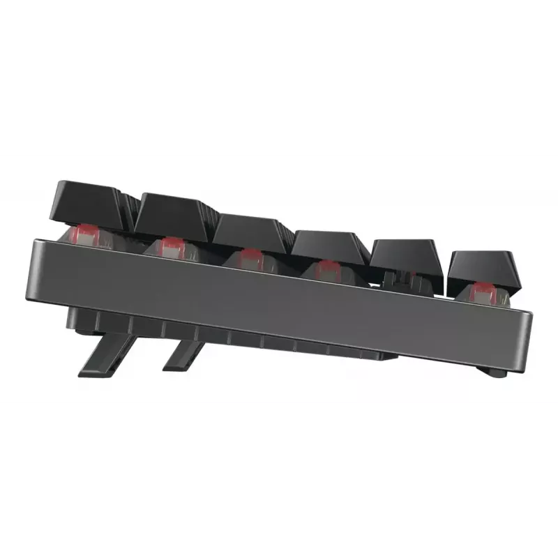 Mehaaniline mängurklaviatuur CHERRY XTRFY Cherry MX 8.2 TKL Wireless — Tenkeyless, QWERTZ, USB + RF + Bluetooth, RGB, must