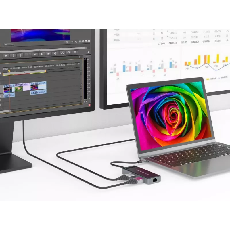 Conceptronic DONN14G sülearvuti dokk/pordireplikaator Juhtmega USB 3.2 Gen 1 (3.1 Gen 1) USB-C Hall