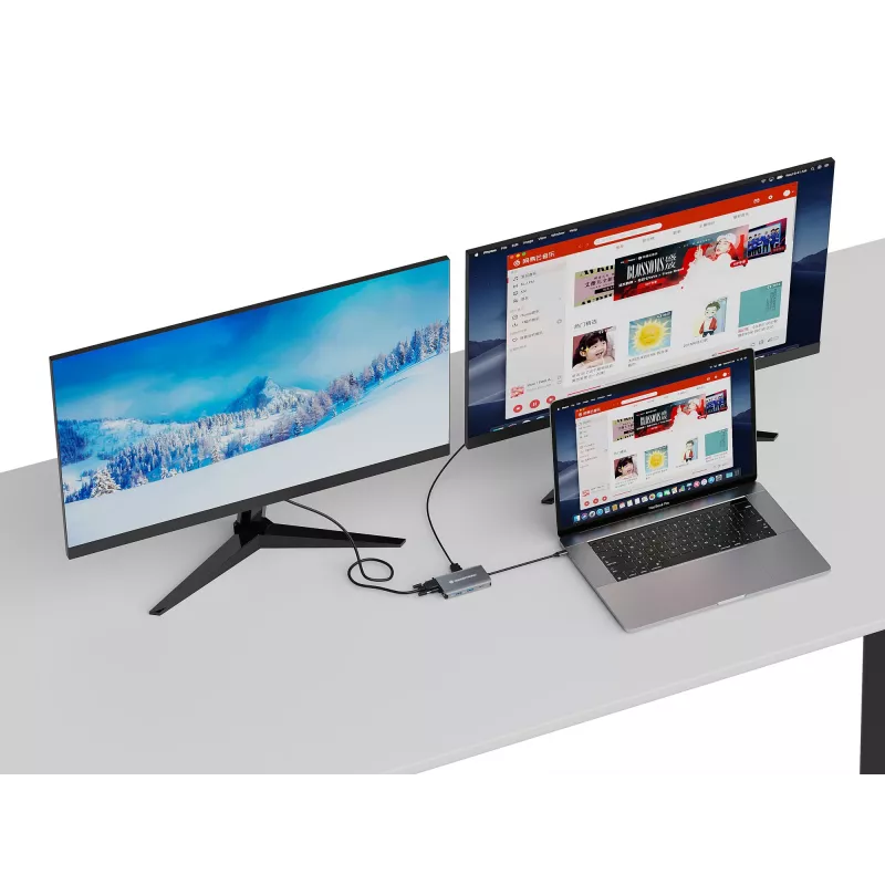 Conceptronic DONN21G sülearvuti dokk/pordireplikaator Juhtmega USB 3.2 Gen 1 (3.1 Gen 1) USB-C Hall