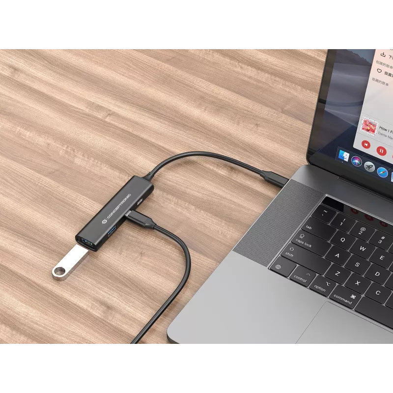 Conceptronic HUBBIES 4-pordiline USB 3.0 jaotur, 2 USB-C ja 2 USB-A porti, alumiiniumkorpus, USB-C pistik