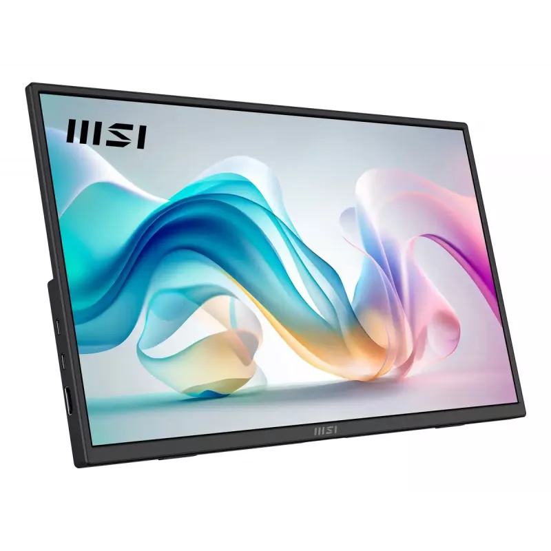 Kaasaskantav monitor MSI PRO MP165DE E6 15,6 tolli Full HD IPS 1920×1080 USB-C HDMI VESA Must