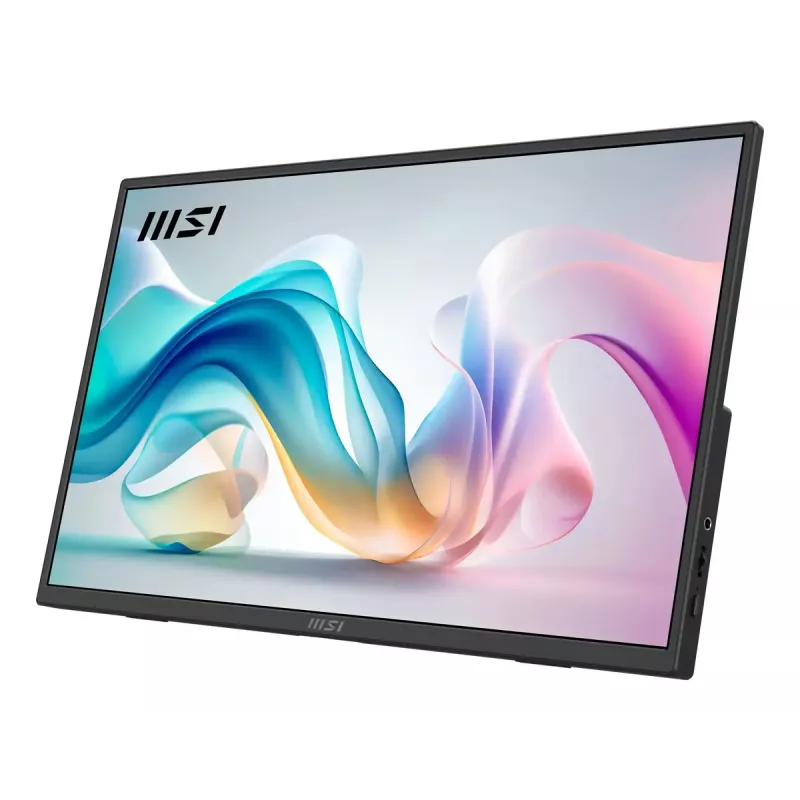 Kaasaskantav monitor MSI PRO MP165DE E6 15,6 tolli Full HD IPS 1920×1080 USB-C HDMI VESA Must