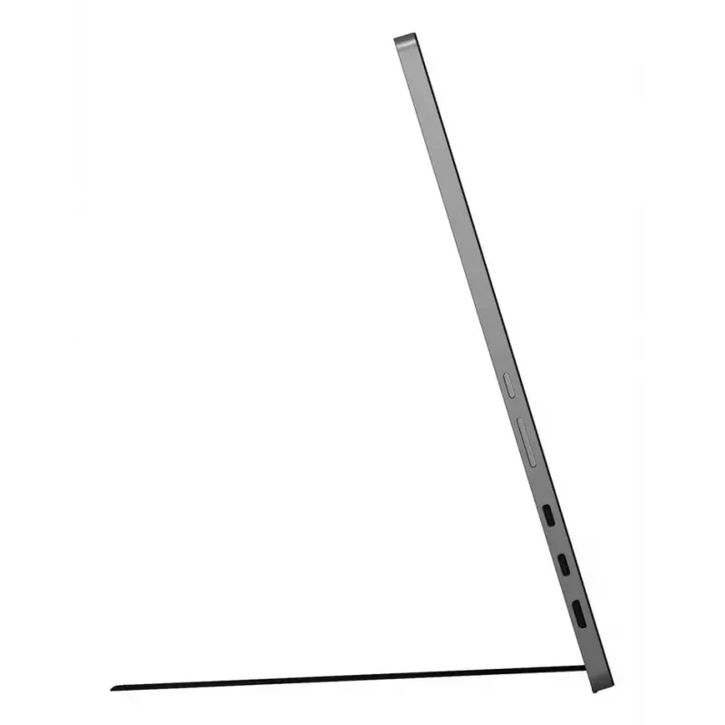 LG 17MT70 kaasaskantav monitor Must, roostevaba teras 43.2 cm (17 tolli) LED 2560 x 1600 pikslit