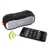 Stereo kaasaskõlar Fantec Novi T30 Hõbedane