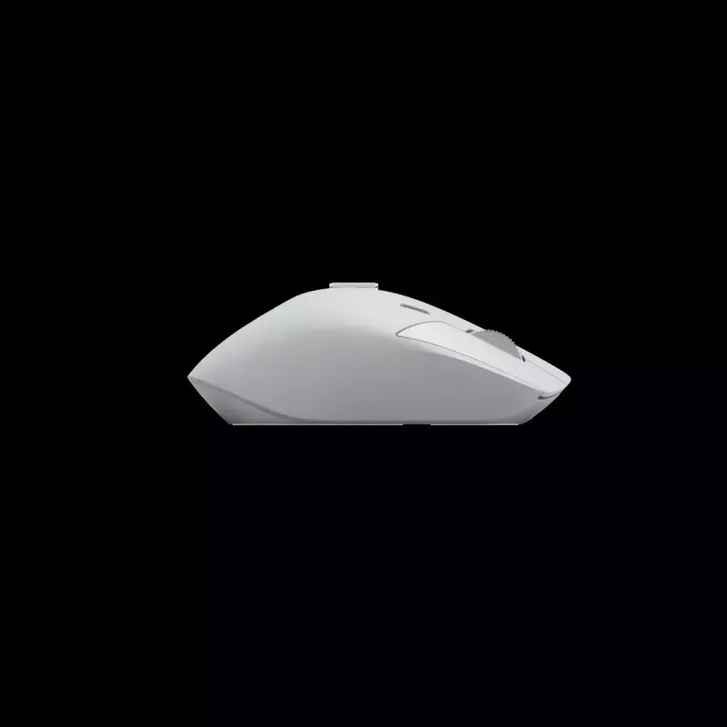 Hiir Rapoo MT760M RF-juhtmevaba ja Bluetooth