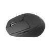 Conceptronic Lorcan Ergo hiir Mängimine Paremakäeline Bluetooth 1600 DPI