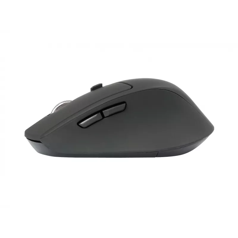 Conceptronic Lorcan Ergo hiir Mängimine Paremakäeline Bluetooth 1600 DPI