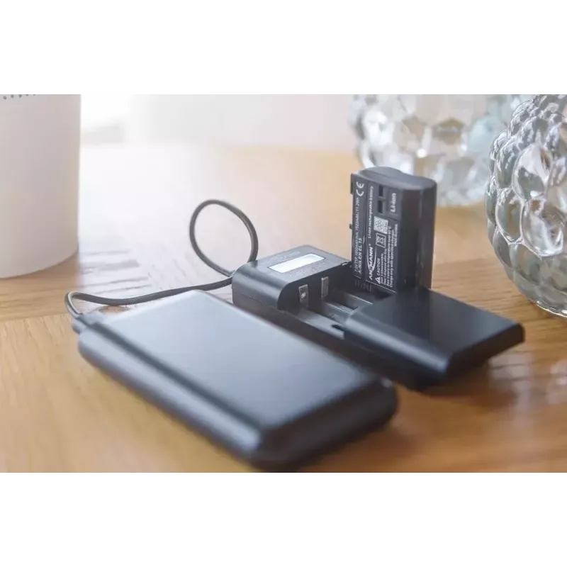 Akulaadija Ansmann Powerline Vario X USB