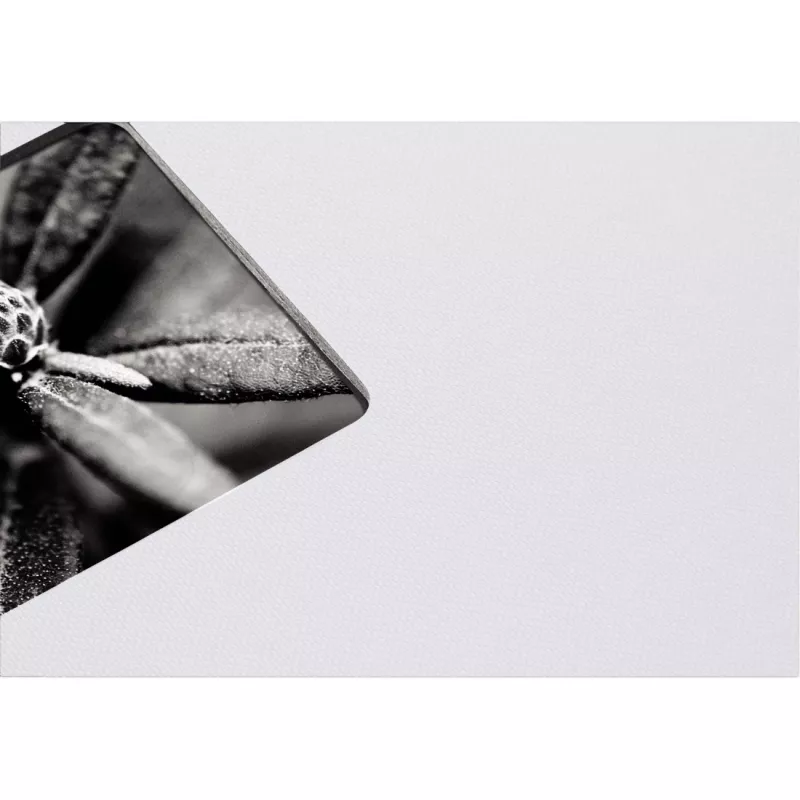 Hama Fine Art fotoalbum Hall 50 lehte 10 x 15 cm