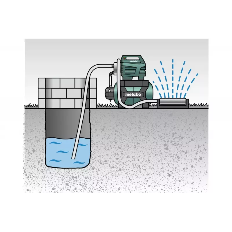 Positiivse väljatõrjega pump Metabo 600975000