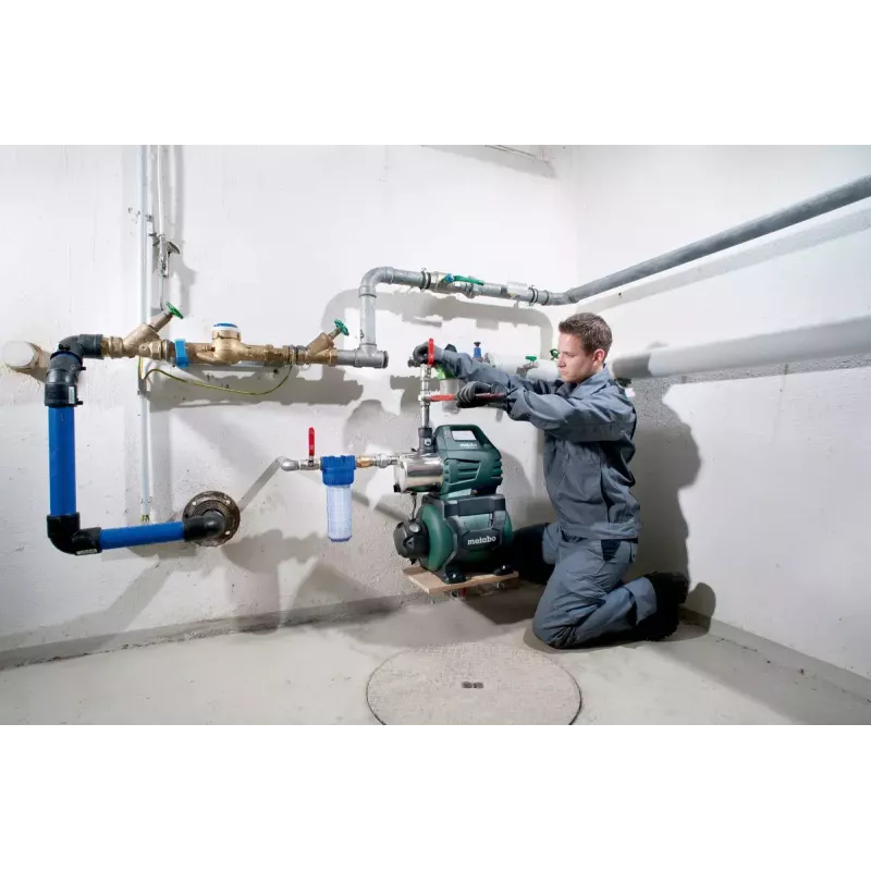 Positiivse väljatõrjega pump Metabo 600975000