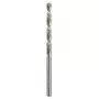 Keerdtrell Bosch Metalli puur HSS-G DIN 338 4 mm 2 tk