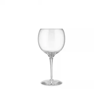 Veiniklaas Alessi SG119/0S4 elegantne disain kristallselge