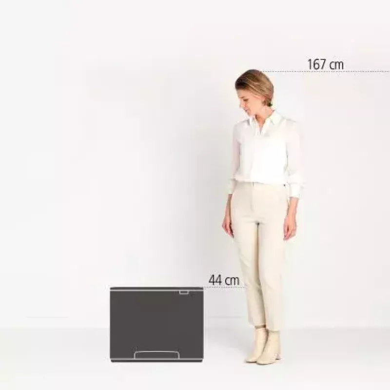Püstine jäätmemahuti Brabantia 121463