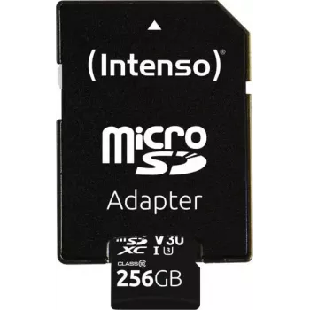 Mälukaart Intenso 3433492 256GB MicroSDXC UHS-I